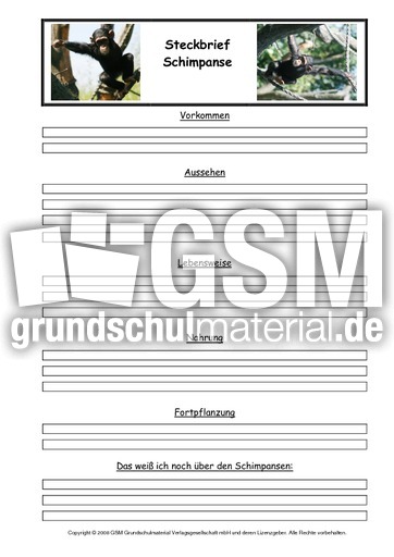 Schimpanse-Steckbriefvorlage.pdf